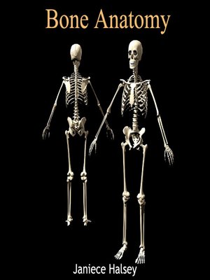 cover image of Bone Anatomy
